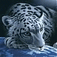 Jaguar - ait Kullanıcı Resmi (Avatar)